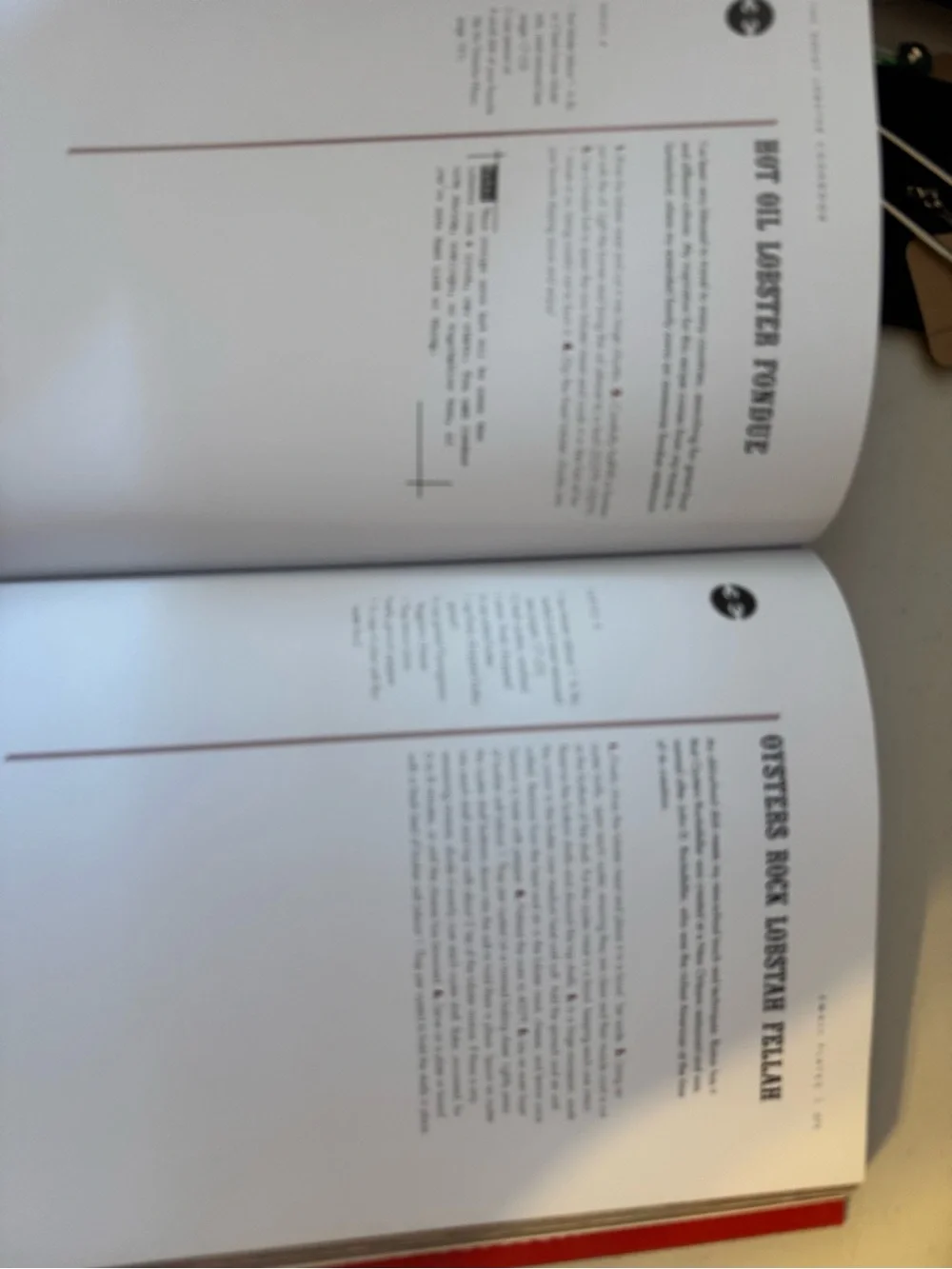 The Great Lobster Cookbook - Red Cookbook by Matt dean pettit. 🦞🦞🦞🦞🦞🦞